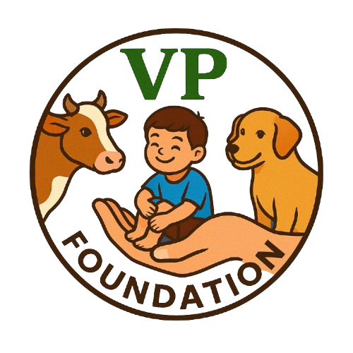 VP Foundation